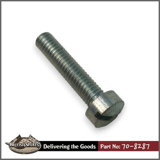 70-8287 Screw