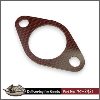 70-8981 Insulator