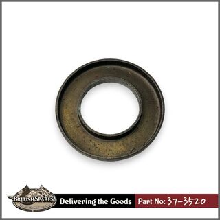 37-3520 Dust Cap